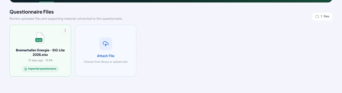 The Files tab: the imported workbook and attachments